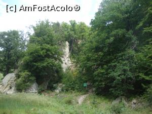 [P39] La marginea pădurii se află panoul informativ de la grota Fundul Peșterii.  » foto by Floryn81
 - 
<span class="allrVoted glyphicon glyphicon-heart hidden" id="av939660"></span>
<a class="m-l-10 hidden" id="sv939660" onclick="voting_Foto_DelVot(,939660,14170)" role="button">șterge vot <span class="glyphicon glyphicon-remove"></span></a>
<a id="v9939660" class=" c-red"  onclick="voting_Foto_SetVot(939660)" role="button"><span class="glyphicon glyphicon-heart-empty"></span> <b>LIKE</b> = Votează poza</a> <img class="hidden"  id="f939660W9" src="/imagini/loader.gif" border="0" /><span class="AjErrMes hidden" id="e939660ErM"></span>