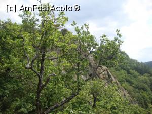 [P50] Priveam printre copaci, către cubul de piatră de pe culmea învecinată.  » foto by Floryn81
 - 
<span class="allrVoted glyphicon glyphicon-heart hidden" id="av939674"></span>
<a class="m-l-10 hidden" id="sv939674" onclick="voting_Foto_DelVot(,939674,14170)" role="button">șterge vot <span class="glyphicon glyphicon-remove"></span></a>
<a id="v9939674" class=" c-red"  onclick="voting_Foto_SetVot(939674)" role="button"><span class="glyphicon glyphicon-heart-empty"></span> <b>LIKE</b> = Votează poza</a> <img class="hidden"  id="f939674W9" src="/imagini/loader.gif" border="0" /><span class="AjErrMes hidden" id="e939674ErM"></span>