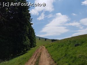 [P20] După două ore și jumătate de la intrarea pe traseu, am ieșit în golul alpin.  » foto by Floryn81
 - 
<span class="allrVoted glyphicon glyphicon-heart hidden" id="av1084117"></span>
<a class="m-l-10 hidden" id="sv1084117" onclick="voting_Foto_DelVot(,1084117,14170)" role="button">șterge vot <span class="glyphicon glyphicon-remove"></span></a>
<a id="v91084117" class=" c-red"  onclick="voting_Foto_SetVot(1084117)" role="button"><span class="glyphicon glyphicon-heart-empty"></span> <b>LIKE</b> = Votează poza</a> <img class="hidden"  id="f1084117W9" src="/imagini/loader.gif" border="0" /><span class="AjErrMes hidden" id="e1084117ErM"></span>