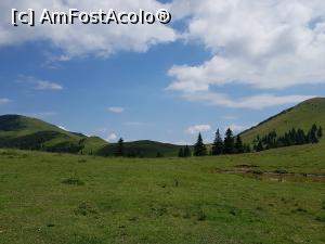 [P21] La pas prin golul alpin, către Poarta Vânturilor. Ne aflam deja la peste 1400 de metri altitudine. » foto by Floryn81
 - 
<span class="allrVoted glyphicon glyphicon-heart hidden" id="av1084118"></span>
<a class="m-l-10 hidden" id="sv1084118" onclick="voting_Foto_DelVot(,1084118,14170)" role="button">șterge vot <span class="glyphicon glyphicon-remove"></span></a>
<a id="v91084118" class=" c-red"  onclick="voting_Foto_SetVot(1084118)" role="button"><span class="glyphicon glyphicon-heart-empty"></span> <b>LIKE</b> = Votează poza</a> <img class="hidden"  id="f1084118W9" src="/imagini/loader.gif" border="0" /><span class="AjErrMes hidden" id="e1084118ErM"></span>