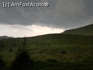 [P42] A început furtuna! Vânt, rafale de ploaie și grindină măruntă! Ne-am adăpostit la marginea unui pâlc de brăduți.  » foto by Floryn81
 - 
<span class="allrVoted glyphicon glyphicon-heart hidden" id="av1084139"></span>
<a class="m-l-10 hidden" id="sv1084139" onclick="voting_Foto_DelVot(,1084139,14170)" role="button">șterge vot <span class="glyphicon glyphicon-remove"></span></a>
<a id="v91084139" class=" c-red"  onclick="voting_Foto_SetVot(1084139)" role="button"><span class="glyphicon glyphicon-heart-empty"></span> <b>LIKE</b> = Votează poza</a> <img class="hidden"  id="f1084139W9" src="/imagini/loader.gif" border="0" /><span class="AjErrMes hidden" id="e1084139ErM"></span>