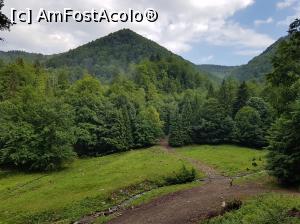 [P49] Ne apropiam de ultima parte a traseului nostru.  » foto by Floryn81
 - 
<span class="allrVoted glyphicon glyphicon-heart hidden" id="av1084146"></span>
<a class="m-l-10 hidden" id="sv1084146" onclick="voting_Foto_DelVot(,1084146,14170)" role="button">șterge vot <span class="glyphicon glyphicon-remove"></span></a>
<a id="v91084146" class=" c-red"  onclick="voting_Foto_SetVot(1084146)" role="button"><span class="glyphicon glyphicon-heart-empty"></span> <b>LIKE</b> = Votează poza</a> <img class="hidden"  id="f1084146W9" src="/imagini/loader.gif" border="0" /><span class="AjErrMes hidden" id="e1084146ErM"></span>