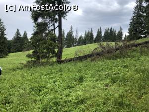[P40] natura si aer curat » foto by Dan&Ema
 - 
<span class="allrVoted glyphicon glyphicon-heart hidden" id="av1171929"></span>
<a class="m-l-10 hidden" id="sv1171929" onclick="voting_Foto_DelVot(,1171929,14170)" role="button">șterge vot <span class="glyphicon glyphicon-remove"></span></a>
<a id="v91171929" class=" c-red"  onclick="voting_Foto_SetVot(1171929)" role="button"><span class="glyphicon glyphicon-heart-empty"></span> <b>LIKE</b> = Votează poza</a> <img class="hidden"  id="f1171929W9" src="/imagini/loader.gif" border="0" /><span class="AjErrMes hidden" id="e1171929ErM"></span>