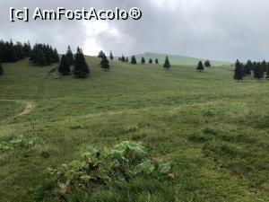 [P09] am iesit la gol alpin, pana cand ne va mai pasui ploaia? » foto by Dan&Ema
 - 
<span class="allrVoted glyphicon glyphicon-heart hidden" id="av1171898"></span>
<a class="m-l-10 hidden" id="sv1171898" onclick="voting_Foto_DelVot(,1171898,14170)" role="button">șterge vot <span class="glyphicon glyphicon-remove"></span></a>
<a id="v91171898" class=" c-red"  onclick="voting_Foto_SetVot(1171898)" role="button"><span class="glyphicon glyphicon-heart-empty"></span> <b>LIKE</b> = Votează poza</a> <img class="hidden"  id="f1171898W9" src="/imagini/loader.gif" border="0" /><span class="AjErrMes hidden" id="e1171898ErM"></span>
