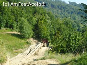 [P26] se fura copacii cu tractorul » foto by buterfly*
 - 
<span class="allrVoted glyphicon glyphicon-heart hidden" id="av763307"></span>
<a class="m-l-10 hidden" id="sv763307" onclick="voting_Foto_DelVot(,763307,14170)" role="button">șterge vot <span class="glyphicon glyphicon-remove"></span></a>
<a id="v9763307" class=" c-red"  onclick="voting_Foto_SetVot(763307)" role="button"><span class="glyphicon glyphicon-heart-empty"></span> <b>LIKE</b> = Votează poza</a> <img class="hidden"  id="f763307W9" src="/imagini/loader.gif" border="0" /><span class="AjErrMes hidden" id="e763307ErM"></span>