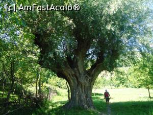[P04] salcia batrana » foto by buterfly*
 - 
<span class="allrVoted glyphicon glyphicon-heart hidden" id="av763284"></span>
<a class="m-l-10 hidden" id="sv763284" onclick="voting_Foto_DelVot(,763284,14170)" role="button">șterge vot <span class="glyphicon glyphicon-remove"></span></a>
<a id="v9763284" class=" c-red"  onclick="voting_Foto_SetVot(763284)" role="button"><span class="glyphicon glyphicon-heart-empty"></span> <b>LIKE</b> = Votează poza</a> <img class="hidden"  id="f763284W9" src="/imagini/loader.gif" border="0" /><span class="AjErrMes hidden" id="e763284ErM"></span>