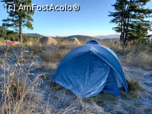 [P11] Dimineața la cort » foto by Mika
 - 
<span class="allrVoted glyphicon glyphicon-heart hidden" id="av1261482"></span>
<a class="m-l-10 hidden" id="sv1261482" onclick="voting_Foto_DelVot(,1261482,14170)" role="button">șterge vot <span class="glyphicon glyphicon-remove"></span></a>
<a id="v91261482" class=" c-red"  onclick="voting_Foto_SetVot(1261482)" role="button"><span class="glyphicon glyphicon-heart-empty"></span> <b>LIKE</b> = Votează poza</a> <img class="hidden"  id="f1261482W9" src="/imagini/loader.gif" border="0" /><span class="AjErrMes hidden" id="e1261482ErM"></span>