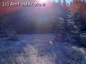 [P14] Lacul Roșu dimineața » foto by Mika
 - 
<span class="allrVoted glyphicon glyphicon-heart hidden" id="av1261485"></span>
<a class="m-l-10 hidden" id="sv1261485" onclick="voting_Foto_DelVot(,1261485,14170)" role="button">șterge vot <span class="glyphicon glyphicon-remove"></span></a>
<a id="v91261485" class=" c-red"  onclick="voting_Foto_SetVot(1261485)" role="button"><span class="glyphicon glyphicon-heart-empty"></span> <b>LIKE</b> = Votează poza</a> <img class="hidden"  id="f1261485W9" src="/imagini/loader.gif" border="0" /><span class="AjErrMes hidden" id="e1261485ErM"></span>