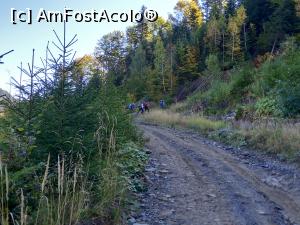 [P02] Am inceput să urcăm pe drumul forestier » foto by Mika
 - 
<span class="allrVoted glyphicon glyphicon-heart hidden" id="av1261473"></span>
<a class="m-l-10 hidden" id="sv1261473" onclick="voting_Foto_DelVot(,1261473,14170)" role="button">șterge vot <span class="glyphicon glyphicon-remove"></span></a>
<a id="v91261473" class=" c-red"  onclick="voting_Foto_SetVot(1261473)" role="button"><span class="glyphicon glyphicon-heart-empty"></span> <b>LIKE</b> = Votează poza</a> <img class="hidden"  id="f1261473W9" src="/imagini/loader.gif" border="0" /><span class="AjErrMes hidden" id="e1261473ErM"></span>