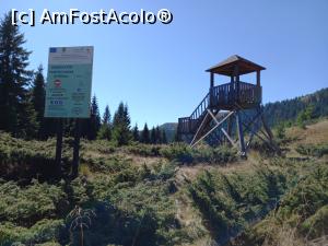 [P21] Observator pentru faună undeva, aproape de Lacul Roșu » foto by Mika
 - 
<span class="allrVoted glyphicon glyphicon-heart hidden" id="av1261492"></span>
<a class="m-l-10 hidden" id="sv1261492" onclick="voting_Foto_DelVot(,1261492,14170)" role="button">șterge vot <span class="glyphicon glyphicon-remove"></span></a>
<a id="v91261492" class=" c-red"  onclick="voting_Foto_SetVot(1261492)" role="button"><span class="glyphicon glyphicon-heart-empty"></span> <b>LIKE</b> = Votează poza</a> <img class="hidden"  id="f1261492W9" src="/imagini/loader.gif" border="0" /><span class="AjErrMes hidden" id="e1261492ErM"></span>