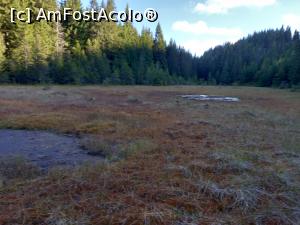 [P08] Lacul Roșu la apusul soarelui » foto by Mika
 - 
<span class="allrVoted glyphicon glyphicon-heart hidden" id="av1261479"></span>
<a class="m-l-10 hidden" id="sv1261479" onclick="voting_Foto_DelVot(,1261479,14170)" role="button">șterge vot <span class="glyphicon glyphicon-remove"></span></a>
<a id="v91261479" class=" c-red"  onclick="voting_Foto_SetVot(1261479)" role="button"><span class="glyphicon glyphicon-heart-empty"></span> <b>LIKE</b> = Votează poza</a> <img class="hidden"  id="f1261479W9" src="/imagini/loader.gif" border="0" /><span class="AjErrMes hidden" id="e1261479ErM"></span>
