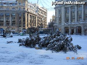 [P45] Bucharest Christmas Market și-a închis porțile. Falnicul brad a fost doborât.  » foto by iulianic
 - 
<span class="allrVoted glyphicon glyphicon-heart hidden" id="av704419"></span>
<a class="m-l-10 hidden" id="sv704419" onclick="voting_Foto_DelVot(,704419,14175)" role="button">șterge vot <span class="glyphicon glyphicon-remove"></span></a>
<a id="v9704419" class=" c-red"  onclick="voting_Foto_SetVot(704419)" role="button"><span class="glyphicon glyphicon-heart-empty"></span> <b>LIKE</b> = Votează poza</a> <img class="hidden"  id="f704419W9" src="/imagini/loader.gif" border="0" /><span class="AjErrMes hidden" id="e704419ErM"></span>