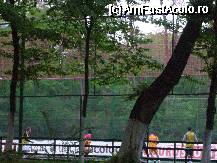 [P14] Parcul National - goooooooooool! - terenul de fotbal (in spate e si terenul de tenis) » foto by magdalena
 - 
<span class="allrVoted glyphicon glyphicon-heart hidden" id="av67642"></span>
<a class="m-l-10 hidden" id="sv67642" onclick="voting_Foto_DelVot(,67642,14175)" role="button">șterge vot <span class="glyphicon glyphicon-remove"></span></a>
<a id="v967642" class=" c-red"  onclick="voting_Foto_SetVot(67642)" role="button"><span class="glyphicon glyphicon-heart-empty"></span> <b>LIKE</b> = Votează poza</a> <img class="hidden"  id="f67642W9" src="/imagini/loader.gif" border="0" /><span class="AjErrMes hidden" id="e67642ErM"></span>
