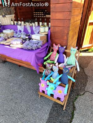[P15] Lavanda - valorificată în diverse feluri. » foto by tata123 🔱
 - 
<span class="allrVoted glyphicon glyphicon-heart hidden" id="av1359957"></span>
<a class="m-l-10 hidden" id="sv1359957" onclick="voting_Foto_DelVot(,1359957,14175)" role="button">șterge vot <span class="glyphicon glyphicon-remove"></span></a>
<a id="v91359957" class=" c-red"  onclick="voting_Foto_SetVot(1359957)" role="button"><span class="glyphicon glyphicon-heart-empty"></span> <b>LIKE</b> = Votează poza</a> <img class="hidden"  id="f1359957W9" src="/imagini/loader.gif" border="0" /><span class="AjErrMes hidden" id="e1359957ErM"></span>