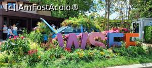 [P01] West Side Flower Fest 2024. » foto by tata123 🔱
 - 
<span class="allrVoted glyphicon glyphicon-heart hidden" id="av1431660"></span>
<a class="m-l-10 hidden" id="sv1431660" onclick="voting_Foto_DelVot(,1431660,14175)" role="button">șterge vot <span class="glyphicon glyphicon-remove"></span></a>
<a id="v91431660" class=" c-red"  onclick="voting_Foto_SetVot(1431660)" role="button"><span class="glyphicon glyphicon-heart-empty"></span> <b>LIKE</b> = Votează poza</a> <img class="hidden"  id="f1431660W9" src="/imagini/loader.gif" border="0" /><span class="AjErrMes hidden" id="e1431660ErM"></span>