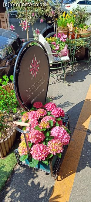 [P05] Decoruri florărie - Piața Dorobanților. » foto by tata123 🔱
 - 
<span class="allrVoted glyphicon glyphicon-heart hidden" id="av1523624"></span>
<a class="m-l-10 hidden" id="sv1523624" onclick="voting_Foto_DelVot(,1523624,14175)" role="button">șterge vot <span class="glyphicon glyphicon-remove"></span></a>
<a id="v91523624" class=" c-red"  onclick="voting_Foto_SetVot(1523624)" role="button"><span class="glyphicon glyphicon-heart-empty"></span> <b>LIKE</b> = Votează poza</a> <img class="hidden"  id="f1523624W9" src="/imagini/loader.gif" border="0" /><span class="AjErrMes hidden" id="e1523624ErM"></span>