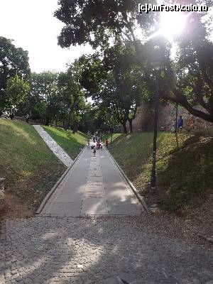 [P14] Parcul Cetatii » foto by AleDia
 - 
<span class="allrVoted glyphicon glyphicon-heart hidden" id="av563009"></span>
<a class="m-l-10 hidden" id="sv563009" onclick="voting_Foto_DelVot(,563009,14186)" role="button">șterge vot <span class="glyphicon glyphicon-remove"></span></a>
<a id="v9563009" class=" c-red"  onclick="voting_Foto_SetVot(563009)" role="button"><span class="glyphicon glyphicon-heart-empty"></span> <b>LIKE</b> = Votează poza</a> <img class="hidden"  id="f563009W9" src="/imagini/loader.gif" border="0" /><span class="AjErrMes hidden" id="e563009ErM"></span>