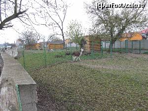 [P14] Gradina Zoologica Oradea- emu in departare, in fata lor o lama » foto by luciaoradea
 - 
<span class="allrVoted glyphicon glyphicon-heart hidden" id="av610418"></span>
<a class="m-l-10 hidden" id="sv610418" onclick="voting_Foto_DelVot(,610418,14194)" role="button">șterge vot <span class="glyphicon glyphicon-remove"></span></a>
<a id="v9610418" class=" c-red"  onclick="voting_Foto_SetVot(610418)" role="button"><span class="glyphicon glyphicon-heart-empty"></span> <b>LIKE</b> = Votează poza</a> <img class="hidden"  id="f610418W9" src="/imagini/loader.gif" border="0" /><span class="AjErrMes hidden" id="e610418ErM"></span>