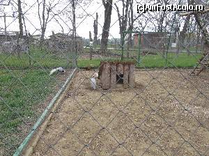 [P32] Gradina Zoologica Oradea- tarcul bibilicilor » foto by luciaoradea
 - 
<span class="allrVoted glyphicon glyphicon-heart hidden" id="av610444"></span>
<a class="m-l-10 hidden" id="sv610444" onclick="voting_Foto_DelVot(,610444,14194)" role="button">șterge vot <span class="glyphicon glyphicon-remove"></span></a>
<a id="v9610444" class=" c-red"  onclick="voting_Foto_SetVot(610444)" role="button"><span class="glyphicon glyphicon-heart-empty"></span> <b>LIKE</b> = Votează poza</a> <img class="hidden"  id="f610444W9" src="/imagini/loader.gif" border="0" /><span class="AjErrMes hidden" id="e610444ErM"></span>