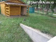 [P12] Zoo Oradea - ţarcul cangurilor.  » foto by creivean
 - 
<span class="allrVoted glyphicon glyphicon-heart hidden" id="av422806"></span>
<a class="m-l-10 hidden" id="sv422806" onclick="voting_Foto_DelVot(,422806,14194)" role="button">șterge vot <span class="glyphicon glyphicon-remove"></span></a>
<a id="v9422806" class=" c-red"  onclick="voting_Foto_SetVot(422806)" role="button"><span class="glyphicon glyphicon-heart-empty"></span> <b>LIKE</b> = Votează poza</a> <img class="hidden"  id="f422806W9" src="/imagini/loader.gif" border="0" /><span class="AjErrMes hidden" id="e422806ErM"></span>