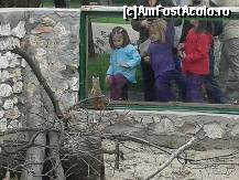 [P17] Zoo Oradea - uite o... suricată :)  » foto by creivean
 - 
<span class="allrVoted glyphicon glyphicon-heart hidden" id="av422815"></span>
<a class="m-l-10 hidden" id="sv422815" onclick="voting_Foto_DelVot(,422815,14194)" role="button">șterge vot <span class="glyphicon glyphicon-remove"></span></a>
<a id="v9422815" class=" c-red"  onclick="voting_Foto_SetVot(422815)" role="button"><span class="glyphicon glyphicon-heart-empty"></span> <b>LIKE</b> = Votează poza</a> <img class="hidden"  id="f422815W9" src="/imagini/loader.gif" border="0" /><span class="AjErrMes hidden" id="e422815ErM"></span>