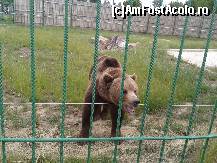 [P20] Zoo Oradea - moş martin...  » foto by creivean
 - 
<span class="allrVoted glyphicon glyphicon-heart hidden" id="av422818"></span>
<a class="m-l-10 hidden" id="sv422818" onclick="voting_Foto_DelVot(,422818,14194)" role="button">șterge vot <span class="glyphicon glyphicon-remove"></span></a>
<a id="v9422818" class=" c-red"  onclick="voting_Foto_SetVot(422818)" role="button"><span class="glyphicon glyphicon-heart-empty"></span> <b>LIKE</b> = Votează poza</a> <img class="hidden"  id="f422818W9" src="/imagini/loader.gif" border="0" /><span class="AjErrMes hidden" id="e422818ErM"></span>