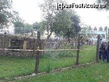 [P21] Zoo Oradea - ţarcul lemurienilor.  » foto by creivean
 - 
<span class="allrVoted glyphicon glyphicon-heart hidden" id="av422819"></span>
<a class="m-l-10 hidden" id="sv422819" onclick="voting_Foto_DelVot(,422819,14194)" role="button">șterge vot <span class="glyphicon glyphicon-remove"></span></a>
<a id="v9422819" class=" c-red"  onclick="voting_Foto_SetVot(422819)" role="button"><span class="glyphicon glyphicon-heart-empty"></span> <b>LIKE</b> = Votează poza</a> <img class="hidden"  id="f422819W9" src="/imagini/loader.gif" border="0" /><span class="AjErrMes hidden" id="e422819ErM"></span>