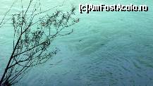 [P22] Acheron - peștii „roiesc” la umbra pădurii » foto by Dragoș_MD
 - 
<span class="allrVoted glyphicon glyphicon-heart hidden" id="av424022"></span>
<a class="m-l-10 hidden" id="sv424022" onclick="voting_Foto_DelVot(,424022,14195)" role="button">șterge vot <span class="glyphicon glyphicon-remove"></span></a>
<a id="v9424022" class=" c-red"  onclick="voting_Foto_SetVot(424022)" role="button"><span class="glyphicon glyphicon-heart-empty"></span> <b>LIKE</b> = Votează poza</a> <img class="hidden"  id="f424022W9" src="/imagini/loader.gif" border="0" /><span class="AjErrMes hidden" id="e424022ErM"></span>