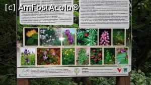 [P15]  -- <small>// FĂRĂ DESCRIERE</small> » foto by raducondurache
 - 
<span class="allrVoted glyphicon glyphicon-heart hidden" id="av978729"></span>
<a class="m-l-10 hidden" id="sv978729" onclick="voting_Foto_DelVot(,978729,14212)" role="button">șterge vot <span class="glyphicon glyphicon-remove"></span></a>
<a id="v9978729" class=" c-red"  onclick="voting_Foto_SetVot(978729)" role="button"><span class="glyphicon glyphicon-heart-empty"></span> <b>LIKE</b> = Votează poza</a> <img class="hidden"  id="f978729W9" src="/imagini/loader.gif" border="0" /><span class="AjErrMes hidden" id="e978729ErM"></span>