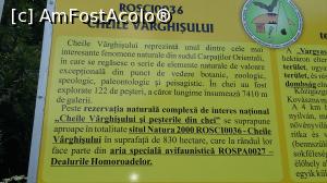[P21]  -- <small>// FĂRĂ DESCRIERE</small> » foto by raducondurache
 - 
<span class="allrVoted glyphicon glyphicon-heart hidden" id="av978754"></span>
<a class="m-l-10 hidden" id="sv978754" onclick="voting_Foto_DelVot(,978754,14212)" role="button">șterge vot <span class="glyphicon glyphicon-remove"></span></a>
<a id="v9978754" class=" c-red"  onclick="voting_Foto_SetVot(978754)" role="button"><span class="glyphicon glyphicon-heart-empty"></span> <b>LIKE</b> = Votează poza</a> <img class="hidden"  id="f978754W9" src="/imagini/loader.gif" border="0" /><span class="AjErrMes hidden" id="e978754ErM"></span>