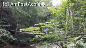 [P09] Podet suspendat pe corzi, Cheile Varghisului » foto by raducondurache
 - 
<span class="allrVoted glyphicon glyphicon-heart hidden" id="av978723"></span>
<a class="m-l-10 hidden" id="sv978723" onclick="voting_Foto_DelVot(,978723,14212)" role="button">șterge vot <span class="glyphicon glyphicon-remove"></span></a>
<a id="v9978723" class=" c-red"  onclick="voting_Foto_SetVot(978723)" role="button"><span class="glyphicon glyphicon-heart-empty"></span> <b>LIKE</b> = Votează poza</a> <img class="hidden"  id="f978723W9" src="/imagini/loader.gif" border="0" /><span class="AjErrMes hidden" id="e978723ErM"></span>