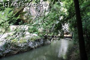 [P41] Cheile Vârghișului și podul ce duce la Peștera Șura Cailor » foto by mprofeanu
 - 
<span class="allrVoted glyphicon glyphicon-heart hidden" id="av1376711"></span>
<a class="m-l-10 hidden" id="sv1376711" onclick="voting_Foto_DelVot(,1376711,14212)" role="button">șterge vot <span class="glyphicon glyphicon-remove"></span></a>
<a id="v91376711" class=" c-red"  onclick="voting_Foto_SetVot(1376711)" role="button"><span class="glyphicon glyphicon-heart-empty"></span> <b>LIKE</b> = Votează poza</a> <img class="hidden"  id="f1376711W9" src="/imagini/loader.gif" border="0" /><span class="AjErrMes hidden" id="e1376711ErM"></span>