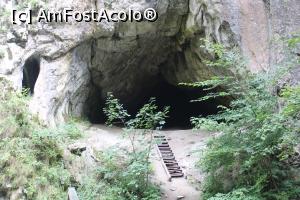 [P43] Cheile Vârghișului, Peștera Șura Cailor » foto by mprofeanu
 - 
<span class="allrVoted glyphicon glyphicon-heart hidden" id="av1376713"></span>
<a class="m-l-10 hidden" id="sv1376713" onclick="voting_Foto_DelVot(,1376713,14212)" role="button">șterge vot <span class="glyphicon glyphicon-remove"></span></a>
<a id="v91376713" class=" c-red"  onclick="voting_Foto_SetVot(1376713)" role="button"><span class="glyphicon glyphicon-heart-empty"></span> <b>LIKE</b> = Votează poza</a> <img class="hidden"  id="f1376713W9" src="/imagini/loader.gif" border="0" /><span class="AjErrMes hidden" id="e1376713ErM"></span>