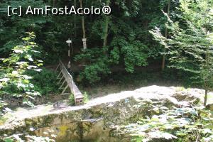 [P47] Cheile Vârghișului, Podețul ce duce la Peștera Șura Cailor pozat de la intrarea în peșteră » foto by mprofeanu
 - 
<span class="allrVoted glyphicon glyphicon-heart hidden" id="av1376717"></span>
<a class="m-l-10 hidden" id="sv1376717" onclick="voting_Foto_DelVot(,1376717,14212)" role="button">șterge vot <span class="glyphicon glyphicon-remove"></span></a>
<a id="v91376717" class=" c-red"  onclick="voting_Foto_SetVot(1376717)" role="button"><span class="glyphicon glyphicon-heart-empty"></span> <b>LIKE</b> = Votează poza</a> <img class="hidden"  id="f1376717W9" src="/imagini/loader.gif" border="0" /><span class="AjErrMes hidden" id="e1376717ErM"></span>
