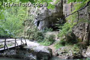 [P48] Cheile Vârghișului, Peștera Șura Cailor văzută de pe malul opus din drumul ce duce mai departe la altă punte... » foto by mprofeanu
 - 
<span class="allrVoted glyphicon glyphicon-heart hidden" id="av1376718"></span>
<a class="m-l-10 hidden" id="sv1376718" onclick="voting_Foto_DelVot(,1376718,14212)" role="button">șterge vot <span class="glyphicon glyphicon-remove"></span></a>
<a id="v91376718" class=" c-red"  onclick="voting_Foto_SetVot(1376718)" role="button"><span class="glyphicon glyphicon-heart-empty"></span> <b>LIKE</b> = Votează poza</a> <img class="hidden"  id="f1376718W9" src="/imagini/loader.gif" border="0" /><span class="AjErrMes hidden" id="e1376718ErM"></span>