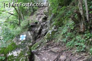 [P54] Cheile Vârghișului, Urcăm puțin ajutându-ne de lanțuri, între Puntea 3 și Puntea 4 » foto by mprofeanu
 - 
<span class="allrVoted glyphicon glyphicon-heart hidden" id="av1376724"></span>
<a class="m-l-10 hidden" id="sv1376724" onclick="voting_Foto_DelVot(,1376724,14212)" role="button">șterge vot <span class="glyphicon glyphicon-remove"></span></a>
<a id="v91376724" class=" c-red"  onclick="voting_Foto_SetVot(1376724)" role="button"><span class="glyphicon glyphicon-heart-empty"></span> <b>LIKE</b> = Votează poza</a> <img class="hidden"  id="f1376724W9" src="/imagini/loader.gif" border="0" /><span class="AjErrMes hidden" id="e1376724ErM"></span>