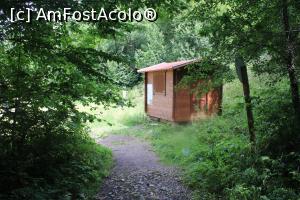 [P64] Cheile Vârghișului, O căsuță la ieșirea din chei spre Poiană și fostul Canton Țiglărie » foto by mprofeanu
 - 
<span class="allrVoted glyphicon glyphicon-heart hidden" id="av1376734"></span>
<a class="m-l-10 hidden" id="sv1376734" onclick="voting_Foto_DelVot(,1376734,14212)" role="button">șterge vot <span class="glyphicon glyphicon-remove"></span></a>
<a id="v91376734" class=" c-red"  onclick="voting_Foto_SetVot(1376734)" role="button"><span class="glyphicon glyphicon-heart-empty"></span> <b>LIKE</b> = Votează poza</a> <img class="hidden"  id="f1376734W9" src="/imagini/loader.gif" border="0" /><span class="AjErrMes hidden" id="e1376734ErM"></span>