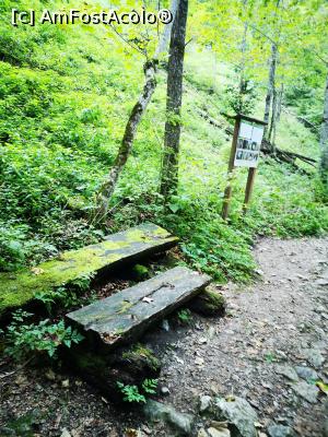 [P13] Un rudimentar loc de odihnă » foto by crismis
 - 
<span class="allrVoted glyphicon glyphicon-heart hidden" id="av1202562"></span>
<a class="m-l-10 hidden" id="sv1202562" onclick="voting_Foto_DelVot(,1202562,14212)" role="button">șterge vot <span class="glyphicon glyphicon-remove"></span></a>
<a id="v91202562" class=" c-red"  onclick="voting_Foto_SetVot(1202562)" role="button"><span class="glyphicon glyphicon-heart-empty"></span> <b>LIKE</b> = Votează poza</a> <img class="hidden"  id="f1202562W9" src="/imagini/loader.gif" border="0" /><span class="AjErrMes hidden" id="e1202562ErM"></span>