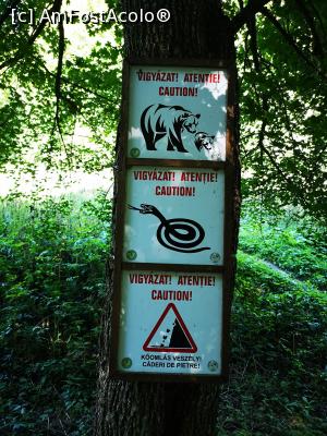 [P06] E bine să fim precauți... » foto by crismis
 - 
<span class="allrVoted glyphicon glyphicon-heart hidden" id="av1202555"></span>
<a class="m-l-10 hidden" id="sv1202555" onclick="voting_Foto_DelVot(,1202555,14212)" role="button">șterge vot <span class="glyphicon glyphicon-remove"></span></a>
<a id="v91202555" class=" c-red"  onclick="voting_Foto_SetVot(1202555)" role="button"><span class="glyphicon glyphicon-heart-empty"></span> <b>LIKE</b> = Votează poza</a> <img class="hidden"  id="f1202555W9" src="/imagini/loader.gif" border="0" /><span class="AjErrMes hidden" id="e1202555ErM"></span>