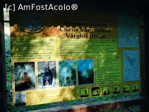 [P07] Pauză de culturalizare » foto by crismis
 - 
<span class="allrVoted glyphicon glyphicon-heart hidden" id="av1202556"></span>
<a class="m-l-10 hidden" id="sv1202556" onclick="voting_Foto_DelVot(,1202556,14212)" role="button">șterge vot <span class="glyphicon glyphicon-remove"></span></a>
<a id="v91202556" class=" c-red"  onclick="voting_Foto_SetVot(1202556)" role="button"><span class="glyphicon glyphicon-heart-empty"></span> <b>LIKE</b> = Votează poza</a> <img class="hidden"  id="f1202556W9" src="/imagini/loader.gif" border="0" /><span class="AjErrMes hidden" id="e1202556ErM"></span>