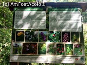 [P11] Flora locului » foto by Denisa13
 - 
<span class="allrVoted glyphicon glyphicon-heart hidden" id="av1044694"></span>
<a class="m-l-10 hidden" id="sv1044694" onclick="voting_Foto_DelVot(,1044694,14212)" role="button">șterge vot <span class="glyphicon glyphicon-remove"></span></a>
<a id="v91044694" class=" c-red"  onclick="voting_Foto_SetVot(1044694)" role="button"><span class="glyphicon glyphicon-heart-empty"></span> <b>LIKE</b> = Votează poza</a> <img class="hidden"  id="f1044694W9" src="/imagini/loader.gif" border="0" /><span class="AjErrMes hidden" id="e1044694ErM"></span>