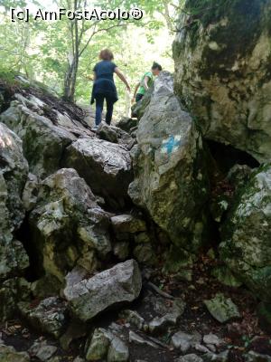 [P14] o parte mai dificila din traseu, foarte scurta » foto by Denisa13
 - 
<span class="allrVoted glyphicon glyphicon-heart hidden" id="av1044697"></span>
<a class="m-l-10 hidden" id="sv1044697" onclick="voting_Foto_DelVot(,1044697,14212)" role="button">șterge vot <span class="glyphicon glyphicon-remove"></span></a>
<a id="v91044697" class=" c-red"  onclick="voting_Foto_SetVot(1044697)" role="button"><span class="glyphicon glyphicon-heart-empty"></span> <b>LIKE</b> = Votează poza</a> <img class="hidden"  id="f1044697W9" src="/imagini/loader.gif" border="0" /><span class="AjErrMes hidden" id="e1044697ErM"></span>