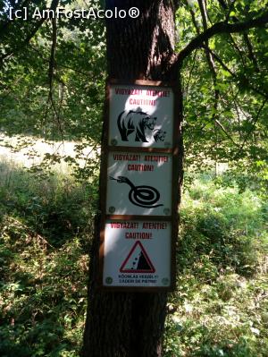 [P08] Atentie...  » foto by Denisa13
 - 
<span class="allrVoted glyphicon glyphicon-heart hidden" id="av1044691"></span>
<a class="m-l-10 hidden" id="sv1044691" onclick="voting_Foto_DelVot(,1044691,14212)" role="button">șterge vot <span class="glyphicon glyphicon-remove"></span></a>
<a id="v91044691" class=" c-red"  onclick="voting_Foto_SetVot(1044691)" role="button"><span class="glyphicon glyphicon-heart-empty"></span> <b>LIKE</b> = Votează poza</a> <img class="hidden"  id="f1044691W9" src="/imagini/loader.gif" border="0" /><span class="AjErrMes hidden" id="e1044691ErM"></span>