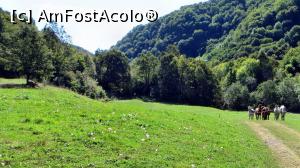 [P01] Poiana de la intrarea în Cheile Vârghișului (partea nordică, de amonte, dinspre Merești). Până aici se poate ajunge cu mașina. Mai departe se intră între calcare, valea se închide brusc și se transformă într-un canion sălbatec.  » foto by Lucien
 - 
<span class="allrVoted glyphicon glyphicon-heart hidden" id="av838330"></span>
<a class="m-l-10 hidden" id="sv838330" onclick="voting_Foto_DelVot(,838330,14212)" role="button">șterge vot <span class="glyphicon glyphicon-remove"></span></a>
<a id="v9838330" class=" c-red"  onclick="voting_Foto_SetVot(838330)" role="button"><span class="glyphicon glyphicon-heart-empty"></span> <b>LIKE</b> = Votează poza</a> <img class="hidden"  id="f838330W9" src="/imagini/loader.gif" border="0" /><span class="AjErrMes hidden" id="e838330ErM"></span>