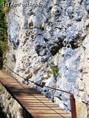 [P10] O punte deosebit de spectaculoasă, singura care nu traversează Râul Vârghiș, ci este în lungul acestuia, fiind fixată pe peretele vertical calcaros » foto by Lucien
 - 
<span class="allrVoted glyphicon glyphicon-heart hidden" id="av838339"></span>
<a class="m-l-10 hidden" id="sv838339" onclick="voting_Foto_DelVot(,838339,14212)" role="button">șterge vot <span class="glyphicon glyphicon-remove"></span></a>
<a id="v9838339" class=" c-red"  onclick="voting_Foto_SetVot(838339)" role="button"><span class="glyphicon glyphicon-heart-empty"></span> <b>LIKE</b> = Votează poza</a> <img class="hidden"  id="f838339W9" src="/imagini/loader.gif" border="0" /><span class="AjErrMes hidden" id="e838339ErM"></span>