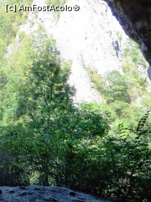 [P12] O parte din Intrarea în Peștera Mare de la Merești (sau Peștera Orban Balazs), una din peșterile cu cea mai mare dechidere din țară, văzută dinspre interiorul peșterii spre afară (se remarcă pereții abrupți ai cheilor)  » foto by Lucien
 - 
<span class="allrVoted glyphicon glyphicon-heart hidden" id="av838341"></span>
<a class="m-l-10 hidden" id="sv838341" onclick="voting_Foto_DelVot(,838341,14212)" role="button">șterge vot <span class="glyphicon glyphicon-remove"></span></a>
<a id="v9838341" class=" c-red"  onclick="voting_Foto_SetVot(838341)" role="button"><span class="glyphicon glyphicon-heart-empty"></span> <b>LIKE</b> = Votează poza</a> <img class="hidden"  id="f838341W9" src="/imagini/loader.gif" border="0" /><span class="AjErrMes hidden" id="e838341ErM"></span>