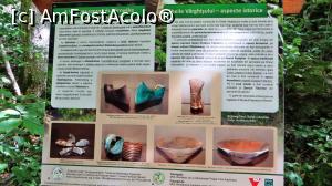 [P18] Unul din panourile informative turistice (istoricul viețuirii oamenilor în Cheile Vârghișului) care transformă cărarea într-o potecă tematică » foto by Lucien
 - 
<span class="allrVoted glyphicon glyphicon-heart hidden" id="av838347"></span>
<a class="m-l-10 hidden" id="sv838347" onclick="voting_Foto_DelVot(,838347,14212)" role="button">șterge vot <span class="glyphicon glyphicon-remove"></span></a>
<a id="v9838347" class=" c-red"  onclick="voting_Foto_SetVot(838347)" role="button"><span class="glyphicon glyphicon-heart-empty"></span> <b>LIKE</b> = Votează poza</a> <img class="hidden"  id="f838347W9" src="/imagini/loader.gif" border="0" /><span class="AjErrMes hidden" id="e838347ErM"></span>
