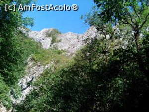 [P12] Nu e usor sa gasesti o bresa luminoasa prin vegetatia luxurianta » foto by dorgo
 - 
<span class="allrVoted glyphicon glyphicon-heart hidden" id="av936754"></span>
<a class="m-l-10 hidden" id="sv936754" onclick="voting_Foto_DelVot(,936754,14212)" role="button">șterge vot <span class="glyphicon glyphicon-remove"></span></a>
<a id="v9936754" class=" c-red"  onclick="voting_Foto_SetVot(936754)" role="button"><span class="glyphicon glyphicon-heart-empty"></span> <b>LIKE</b> = Votează poza</a> <img class="hidden"  id="f936754W9" src="/imagini/loader.gif" border="0" /><span class="AjErrMes hidden" id="e936754ErM"></span>