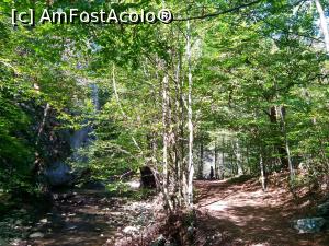 [P19] In vale e ca-n jungla, e mai multa umbra decat soare » foto by dorgo
 - 
<span class="allrVoted glyphicon glyphicon-heart hidden" id="av936761"></span>
<a class="m-l-10 hidden" id="sv936761" onclick="voting_Foto_DelVot(,936761,14212)" role="button">șterge vot <span class="glyphicon glyphicon-remove"></span></a>
<a id="v9936761" class=" c-red"  onclick="voting_Foto_SetVot(936761)" role="button"><span class="glyphicon glyphicon-heart-empty"></span> <b>LIKE</b> = Votează poza</a> <img class="hidden"  id="f936761W9" src="/imagini/loader.gif" border="0" /><span class="AjErrMes hidden" id="e936761ErM"></span>