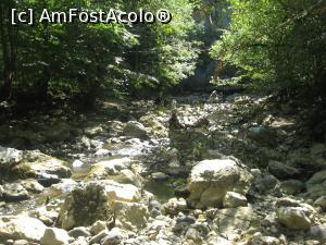 [P24] In aval, pe firul apei, sunt mai mult pietre » foto by dorgo
 - 
<span class="allrVoted glyphicon glyphicon-heart hidden" id="av936766"></span>
<a class="m-l-10 hidden" id="sv936766" onclick="voting_Foto_DelVot(,936766,14212)" role="button">șterge vot <span class="glyphicon glyphicon-remove"></span></a>
<a id="v9936766" class=" c-red"  onclick="voting_Foto_SetVot(936766)" role="button"><span class="glyphicon glyphicon-heart-empty"></span> <b>LIKE</b> = Votează poza</a> <img class="hidden"  id="f936766W9" src="/imagini/loader.gif" border="0" /><span class="AjErrMes hidden" id="e936766ErM"></span>